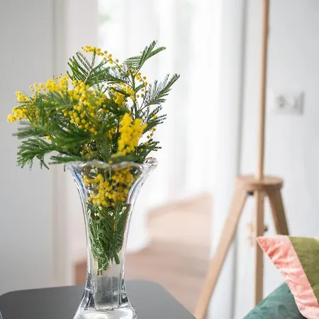 Seconda Stella A Destra