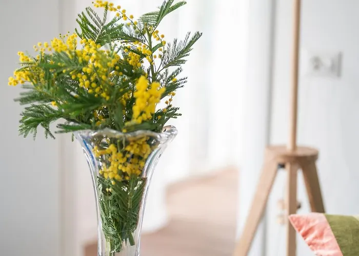 Seconda Stella A Destra